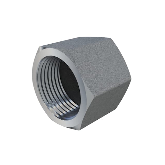 Forged Hex Cap Threaded